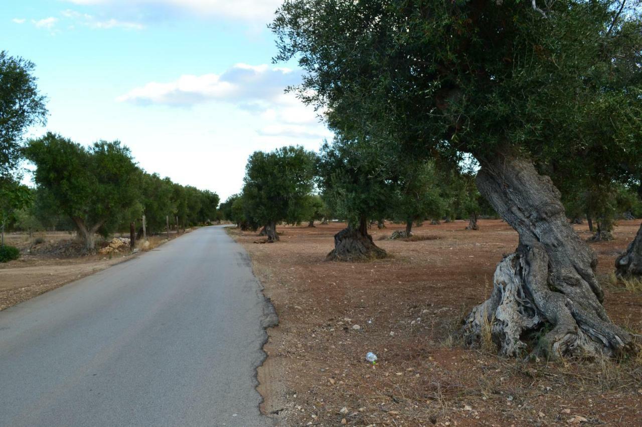 Le Terrazze B&B מנדוריה מראה חיצוני תמונה
